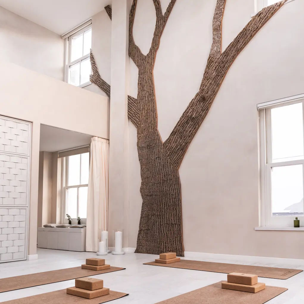 Bamford treatment room