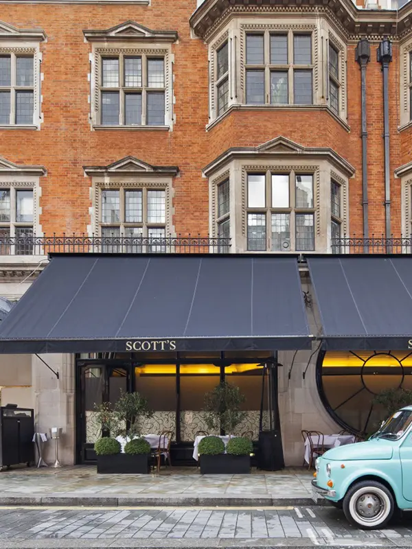 Scott's on Mount Street